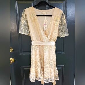 Southern Fried Chicks Gold glitter/sequin mini dress Fit N Flare Size XL